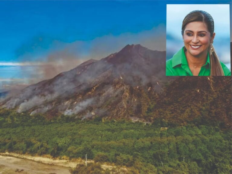 El Tolima logra compromisos del Gobierno Nacional para atender emergencia del sector agropecuario. Mesa Agropecuaria del próximo viernes avanzará en las acciones