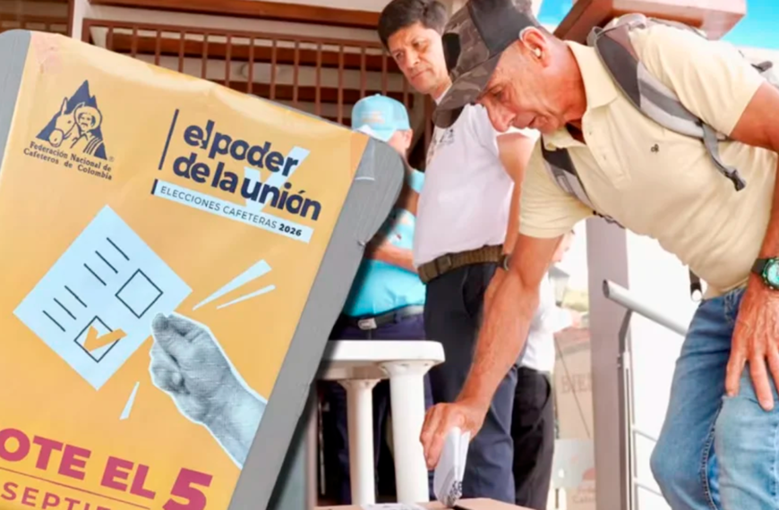 En el Tolima 348 líderes cafeteros fueron elegidos, en una jornada electoral en total tranquilidad